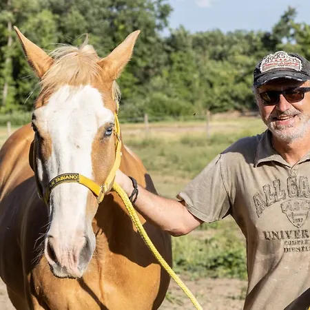 L'aquila E L'ulivo Apartment Montepulciano Stazione